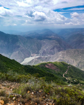 Colombie_agroforesterie_Capte.io