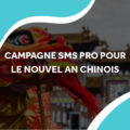 image d'un dragon chinois avec le titre campagne sms pro pour le nouvel an chinois