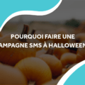 image d'un champ de citrouille avec le titre pourquoi faire une campagne à halloween