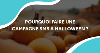 image d'un champ de citrouille avec le titre pourquoi faire une campagne à halloween