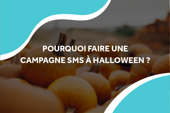 image d'un champ de citrouille avec le titre pourquoi faire une campagne à halloween