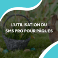 image de pâques avec un lapin et des œufs avec le titre l'utilisation du sms pro pour pâques