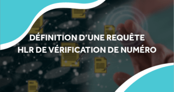 image d'une personne qui interagit avec des données flottantes avec le titre définition d'une requête hlr de vérification de numéro