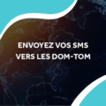 image d'une planète Terre numérique avec le titre envoyez vos sms vers les dom-tom