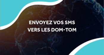 image d'une planète Terre numérique avec le titre envoyez vos sms vers les dom-tom