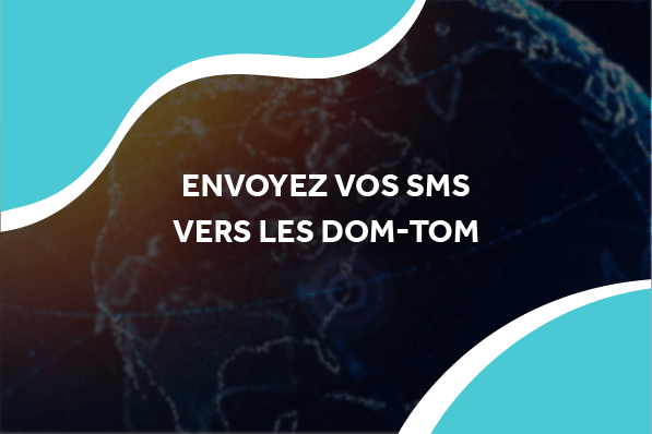 image d'une planète Terre numérique avec le titre envoyez vos sms vers les dom-tom